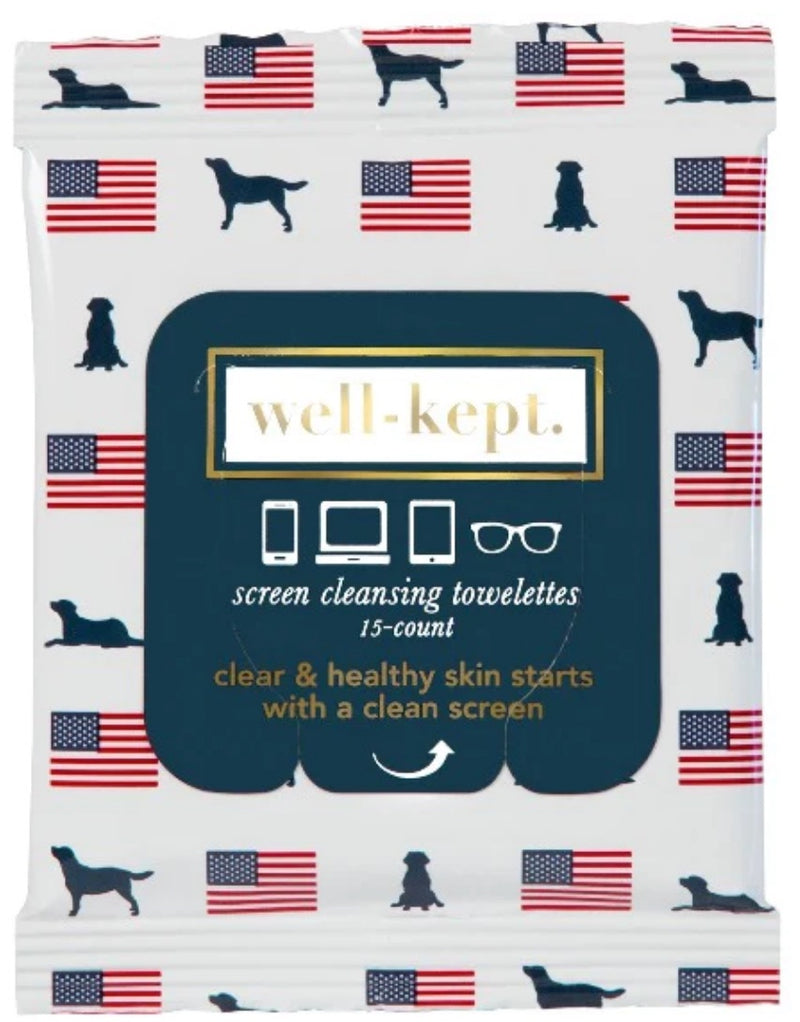 Stay Well-Kept Screen Cleaning Towelettes